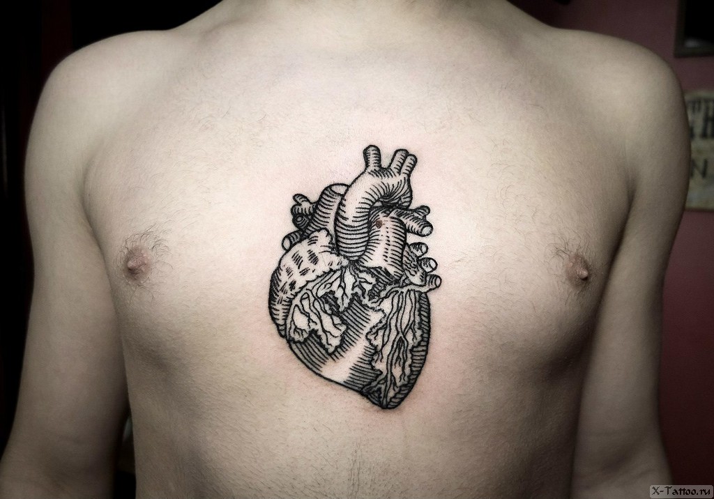 сердце на груди