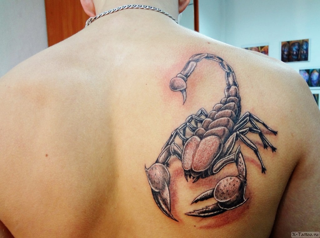 Значение тату скорпион