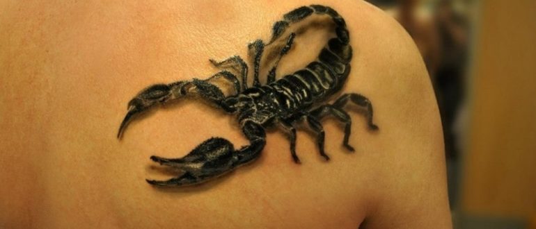 скорпион на спине