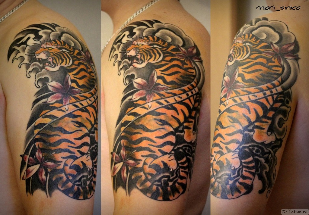 тигр на плече