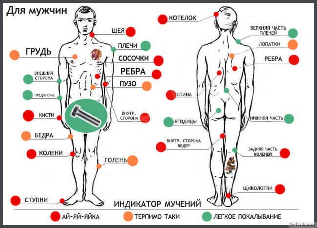 Больная зона. Самые больные места для татуировок. Карта боли тату. Болевые места татуировок. Зоны болезненности тату.