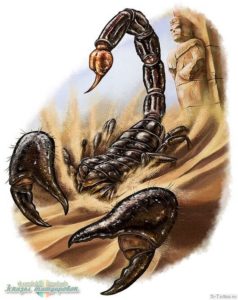 skorpiona zametaet peskom