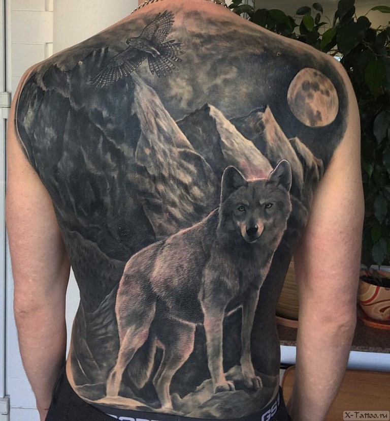Что означает тюремная татуировка с изображением волка