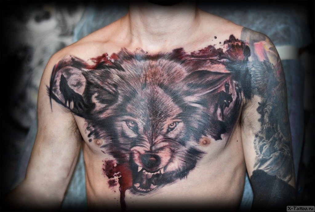 Фото и значение татуировки Волк. -тату-волк
