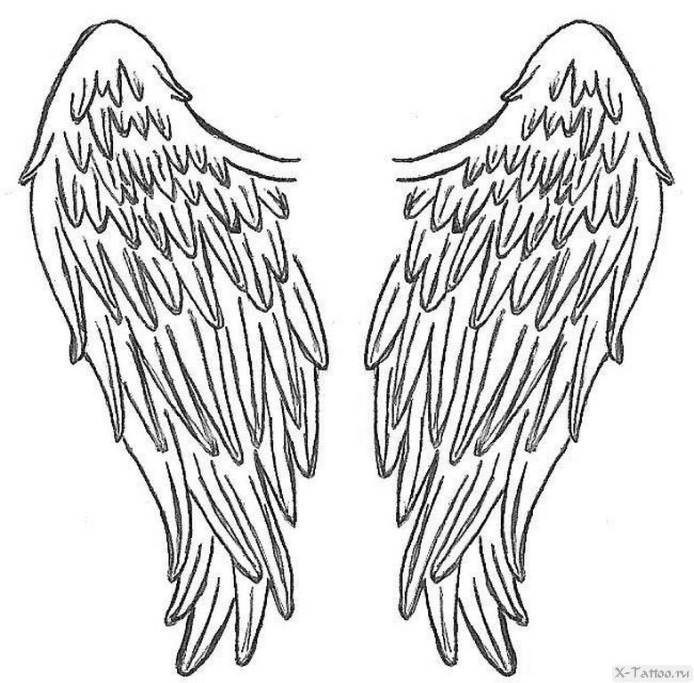 Крылья ангела скетч