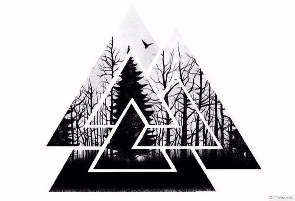 Лес в треугольнике