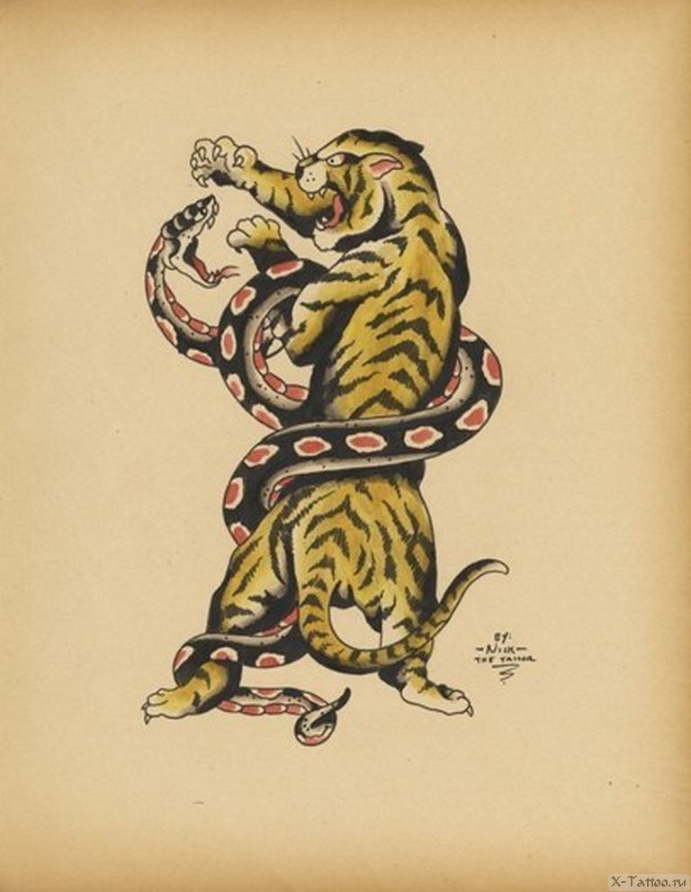 Мужчина змея и тигр. Тигр эскиз. Тату тигр и змея. Тигр со змеей олдскул. Тату тигр Олд скул.