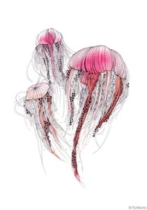 tri meduzy