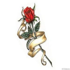roza na dlinnom steble
