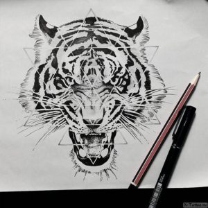 tigr